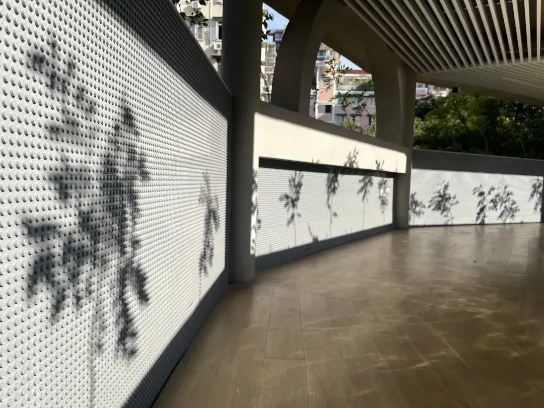 家长如何为孩子选择合适的篮球冬令营?_2