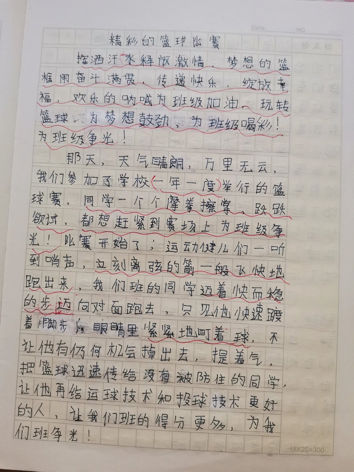 篮球训练的感受怎么写简短